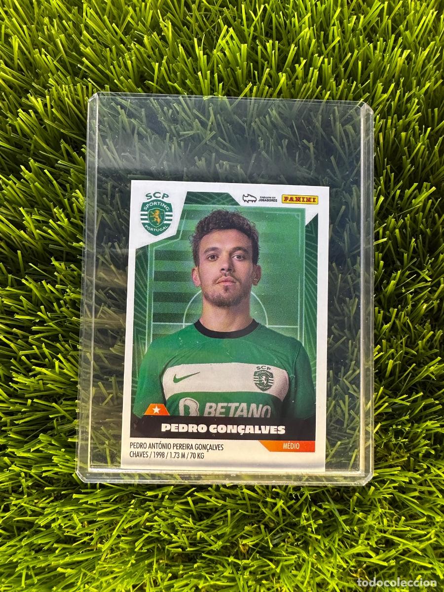Cromos de f&uacute;tbol: N&ordm; 316 Pedro Gon&ccedil;alves Sporting de Lisboa Futebol Liga Portuguesa 23 24