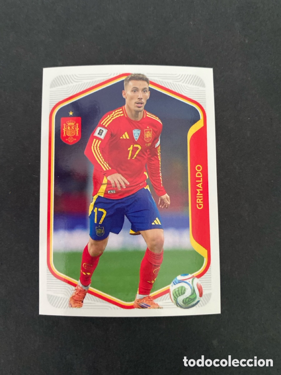 Cromos de f&uacute;tbol: Cromo Carrefour Espa&ntilde;a N* 29