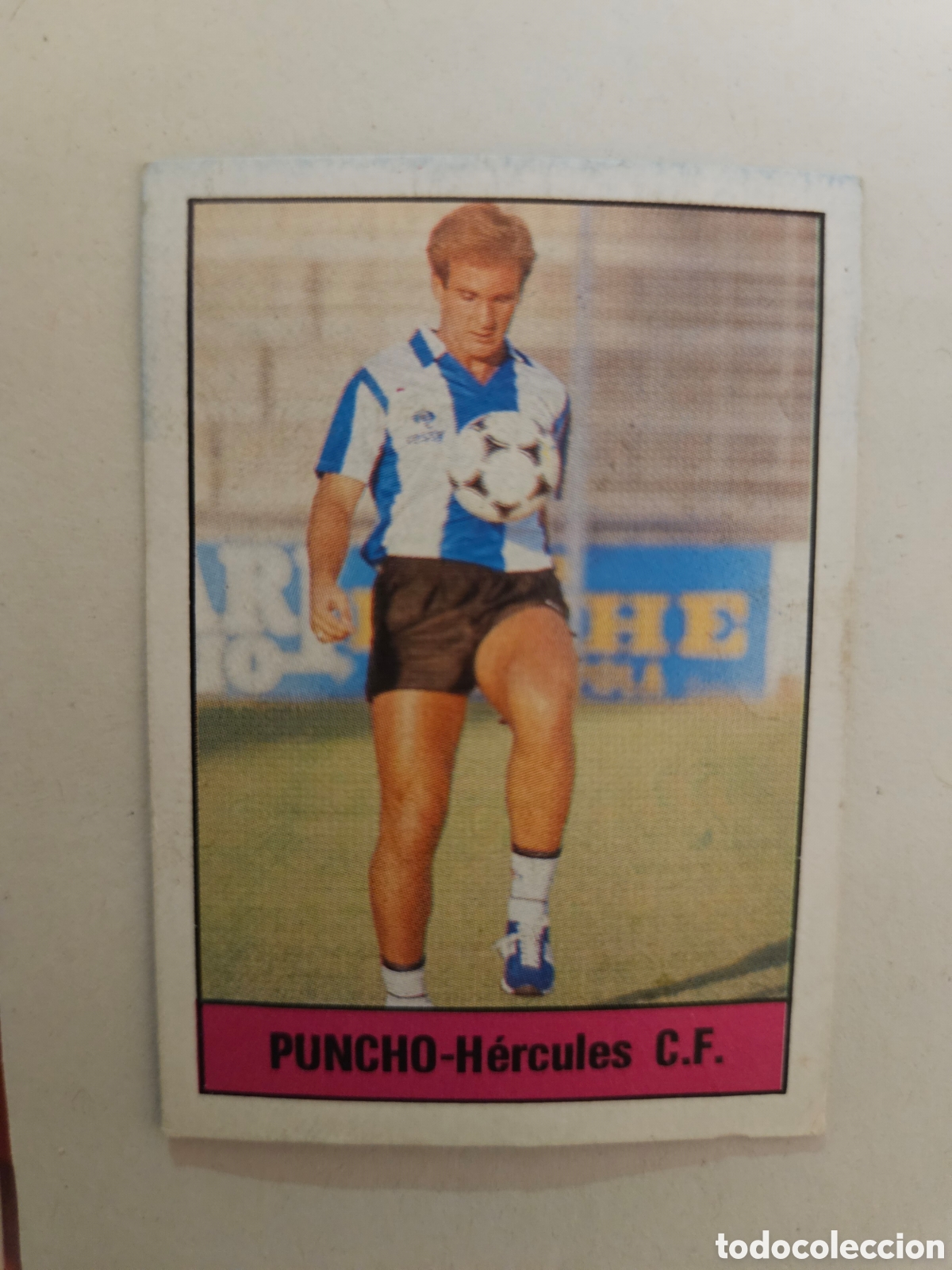 Cromos de f&uacute;tbol: PUNCHO 82 HERCULES LISEL 1985 1986 CROMO FUTBOL LIGA 85 86 - DESPEGADO