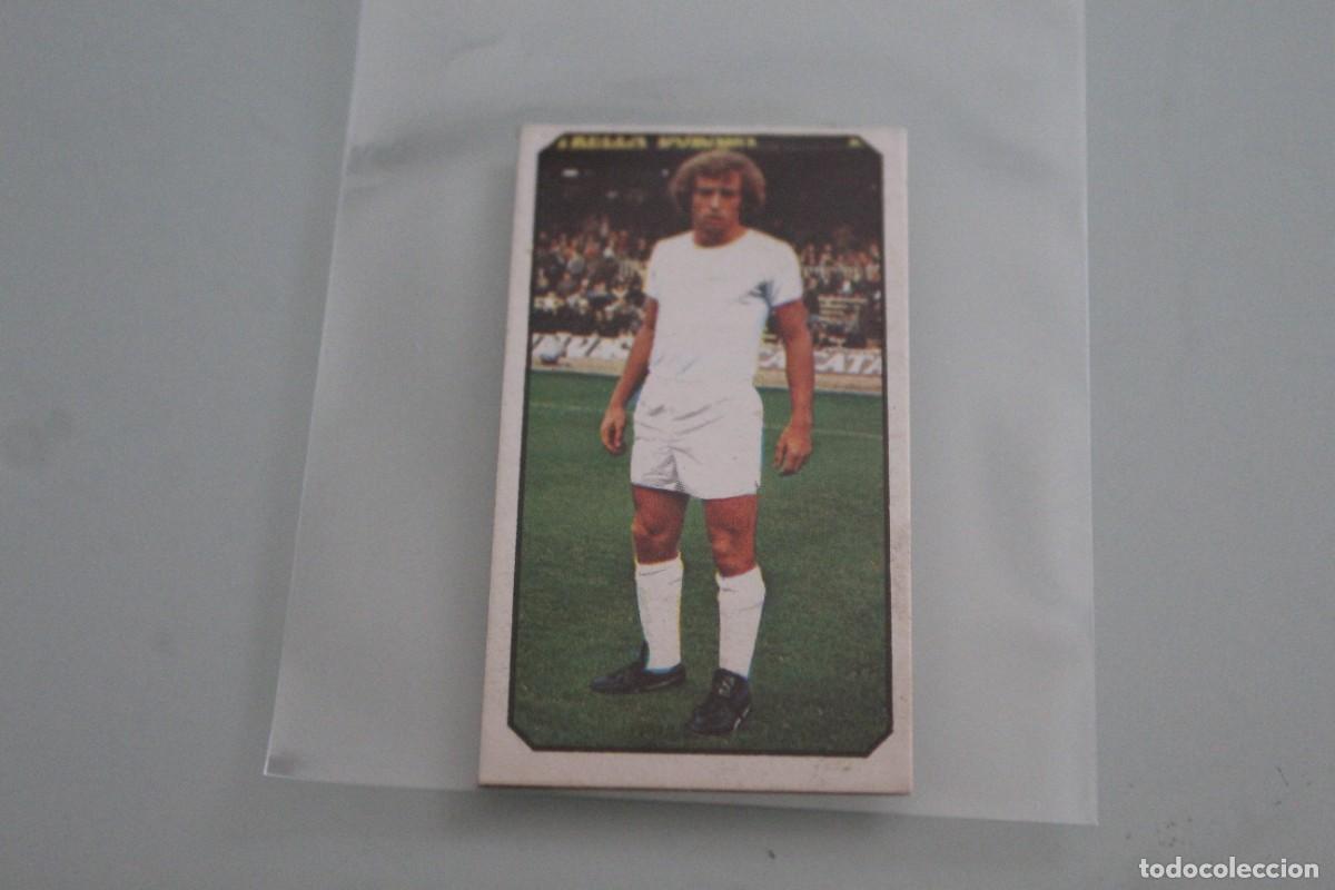 Cromos de f&uacute;tbol: ESTE 77 78 WOLF FICHAJE N&ordm; 15 RECUPERADO DE &Aacute;LBUM