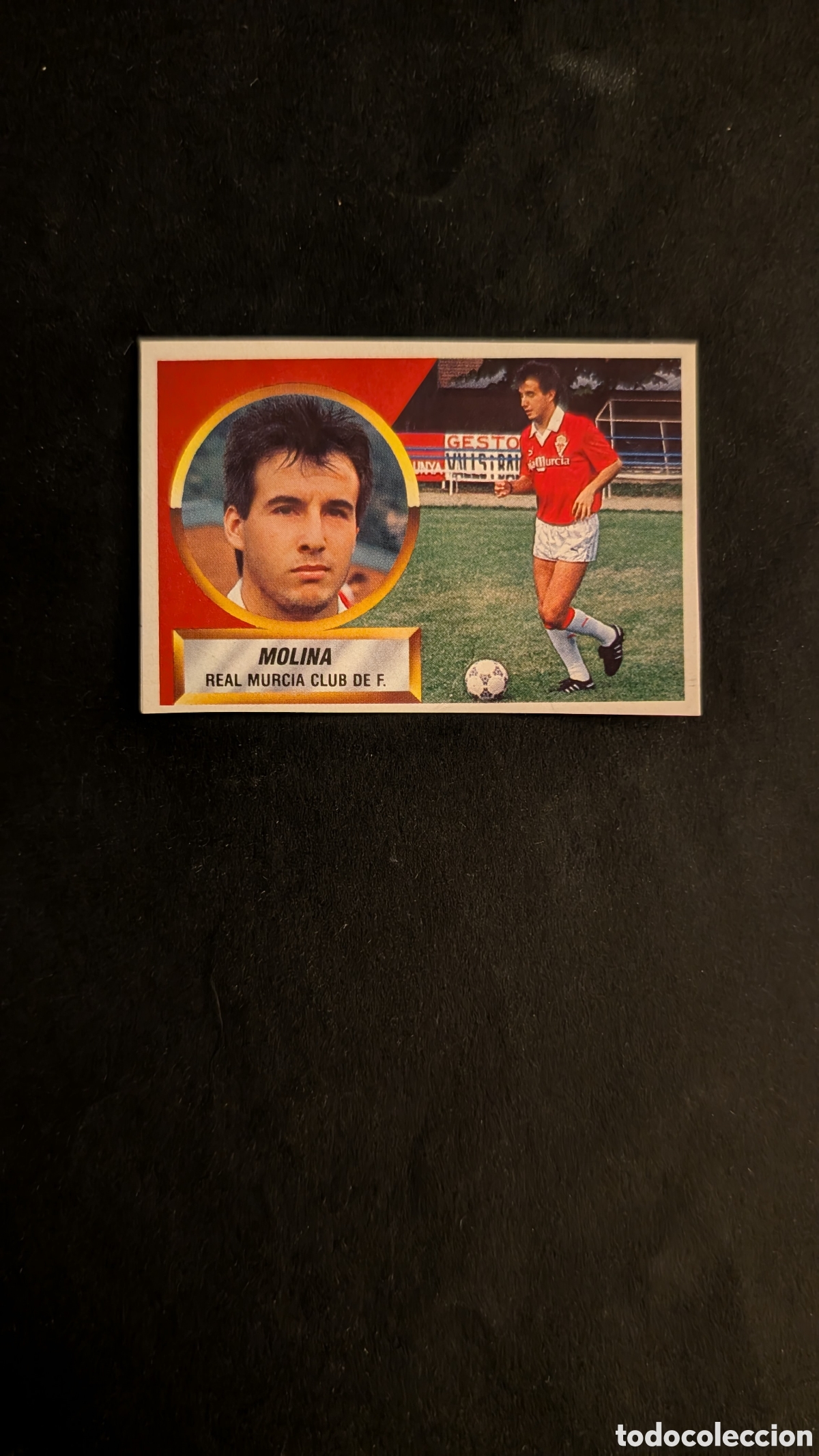 Football Stickers: MOLINA MURCIA FICHAJE 30 LIGA ESTE 1988/89 88 89 RECORTADO RECUPERADO
