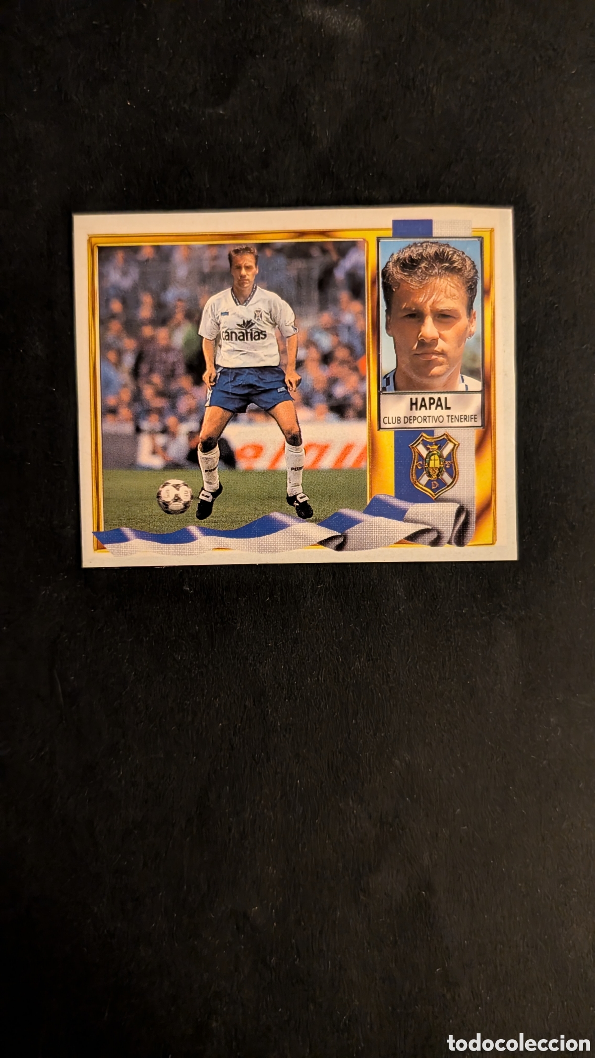 Cromos de Futebol: HAPAL TENERIFE FICHAJE 27 LIGA ESTE 1995/96 95 96 RECORTADO