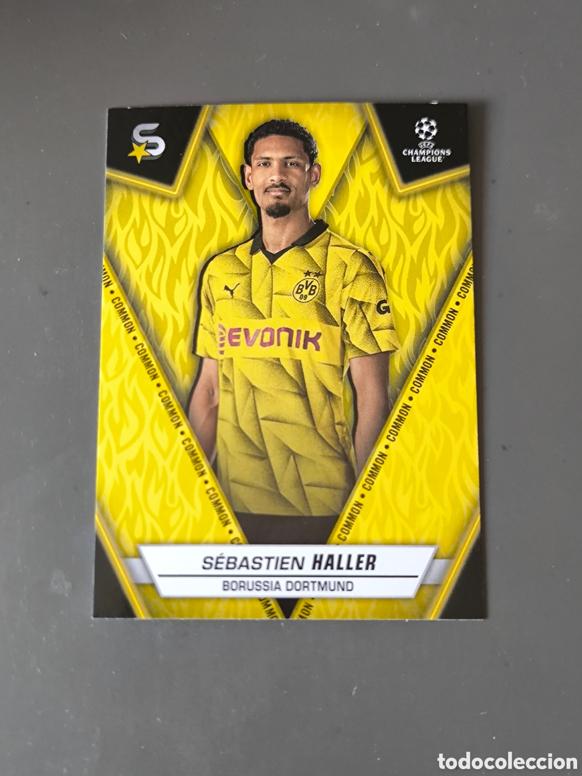 Cromos de f&uacute;tbol: HALLER 30 Common Borussia Superstars 2024 Topps