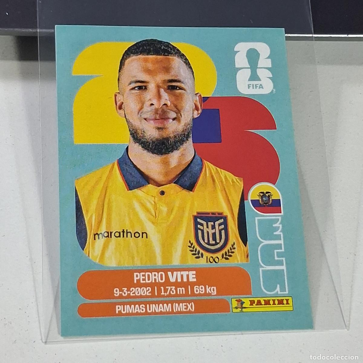 Cromos de f&uacute;tbol: B33 ECU 12 ECU12 PEDRO VITE ECUADOR MUNDIAL FIFA WORLD CUP 2026 STICKER PANINI