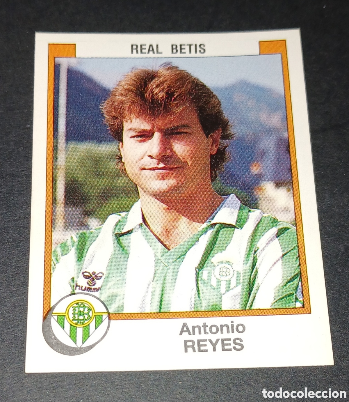 Cromos de f&uacute;tbol: Cromo 71 Antonio Reyes (Real Betis) F&uacute;tbol 88 87-88 1987-1988 Panini sin pegar nunca pegado