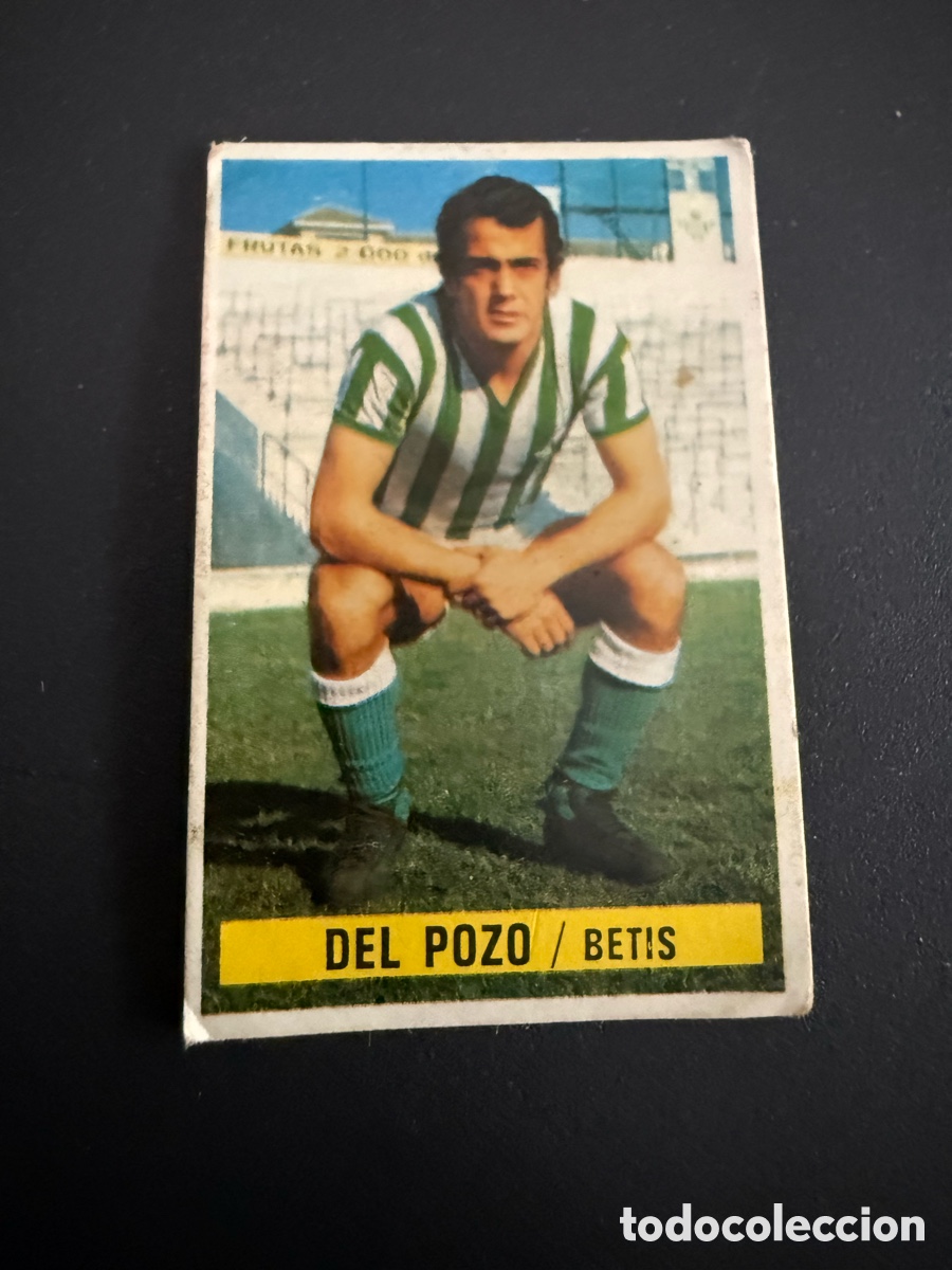 Cromos de f&uacute;tbol: ESTE. 74-75. DEL POZO. Betis. Nunca Pegado