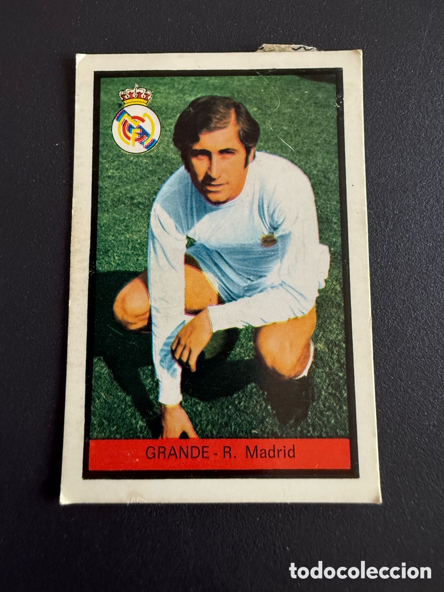 Cromos de f&uacute;tbol: FHER 72-73. GRANDE ( Real Madrid). Recuperado