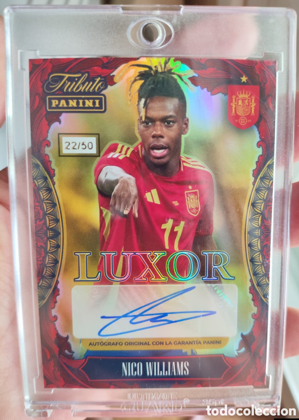 Cromos de f&uacute;tbol: NICO WILLIAMS RESERVADO