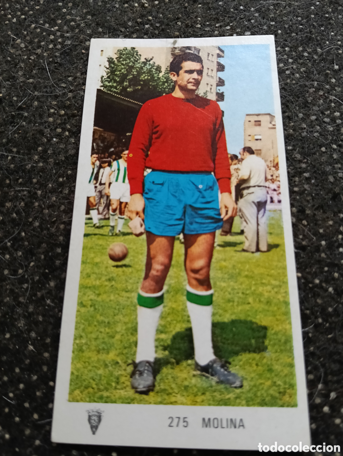 Cromos de f&uacute;tbol: N&deg; 275 Molina C&oacute;rdoba Ruiz Romero 1971-1972. 71-72. Nunca pegado