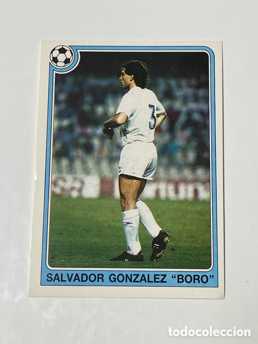 Cromos de f&uacute;tbol: Boro Valencia Panini 92/93 #81