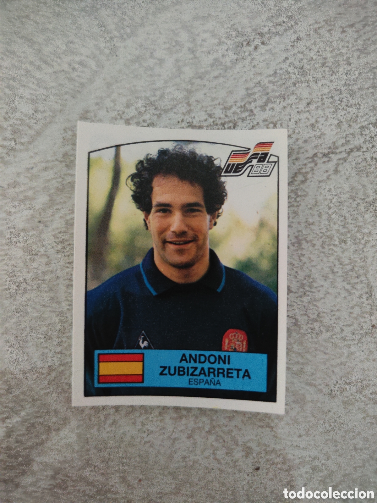 Cromos de Futebol: Panini euro 88 sin pegar 133 Espa&ntilde;a Zubizarreta
