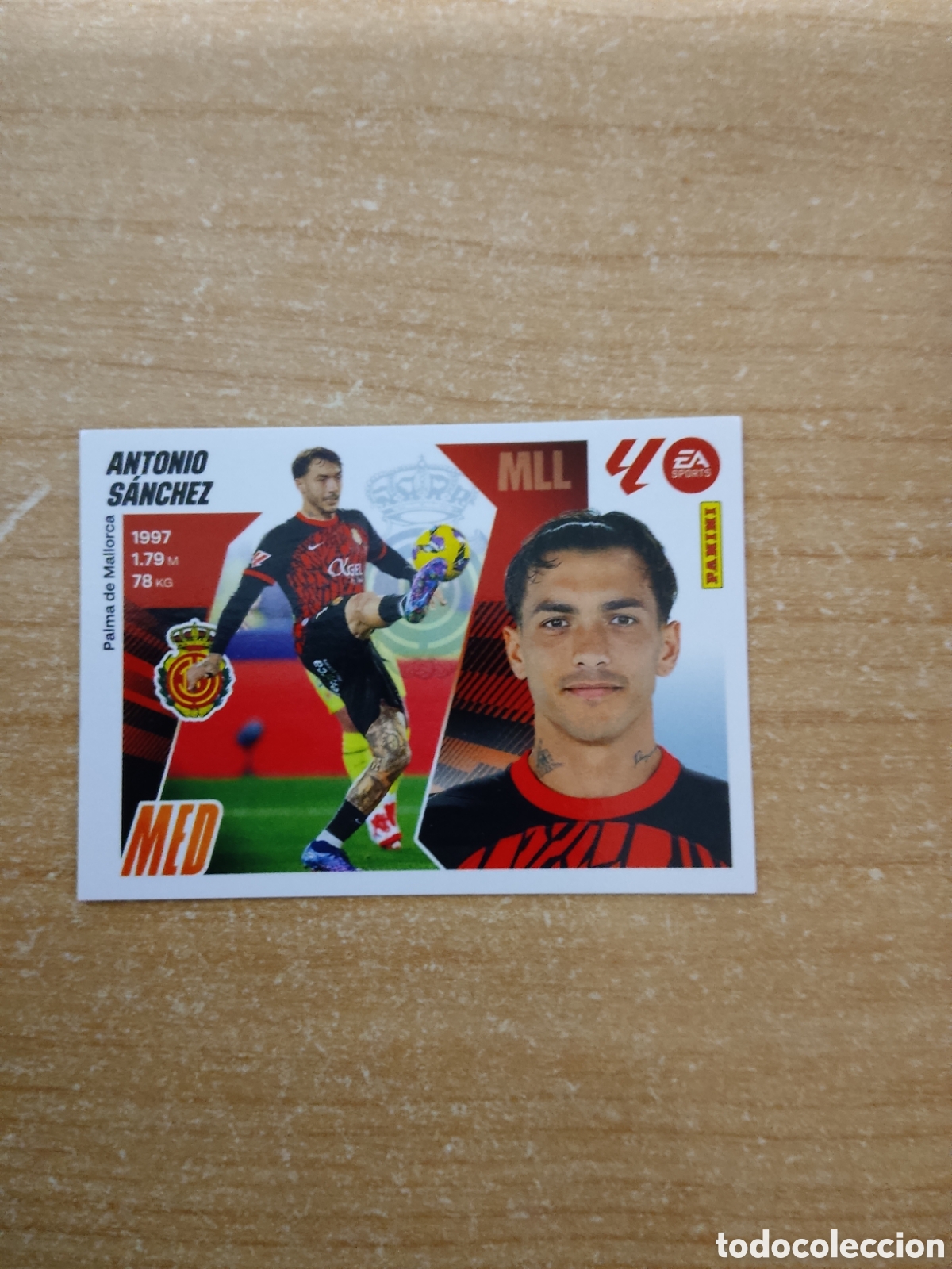 Cromos de f&uacute;tbol: 14 ANTONIO SANCHEZ MALLORCA LIGA ESTE 2025 2026