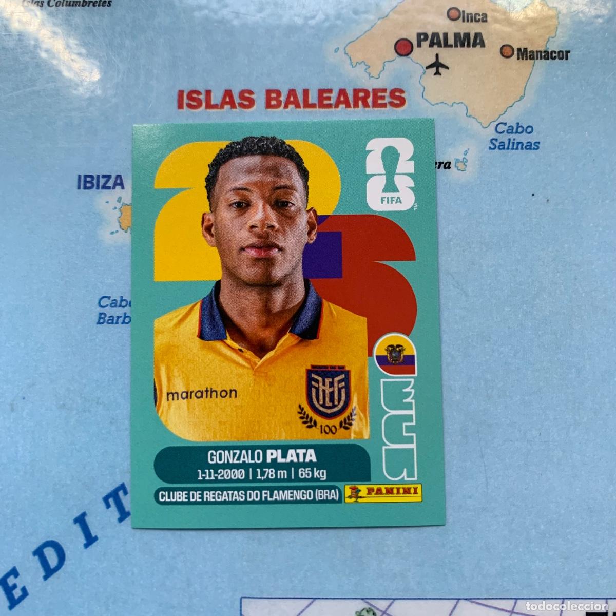 Cromos de f&uacute;tbol: Ecuador n&uacute;mero 16 cromo panini Mundial Fifa World Cup 2026