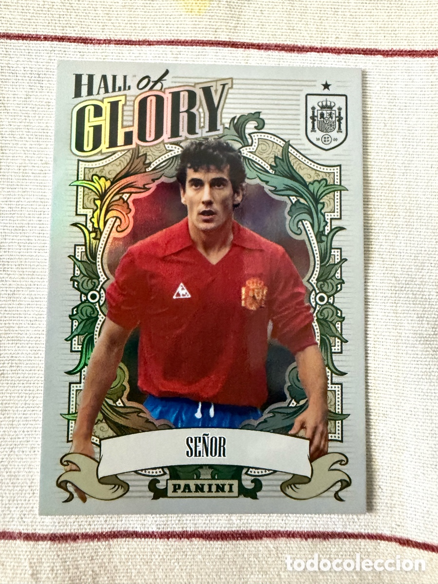 Cromos de f&uacute;tbol: TRIBUTO SELECCI&Oacute;N ESPA&Ntilde;OLA 2010 2026 PANINI JUAN SE&Ntilde;OR HG17 HALL OF GLORY ESPA&Ntilde;A LIGA MUNDIAL