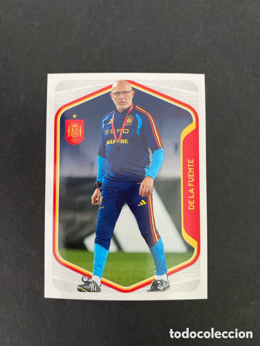 Cromos de f&uacute;tbol: Cromo Carrefour Espa&ntilde;a N* 8