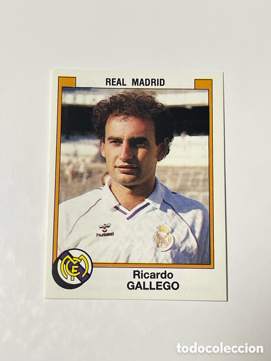 Cromos de f&uacute;tbol: Ricardo Gallego Real Madrid Panini 87/88 #185