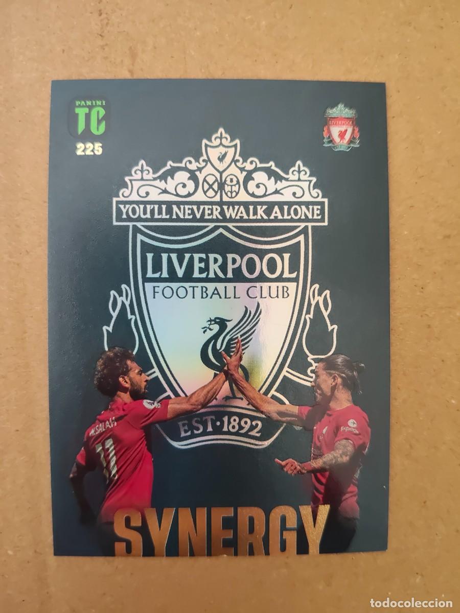 Cromos de f&uacute;tbol: Liverpool. Synergy. Panini