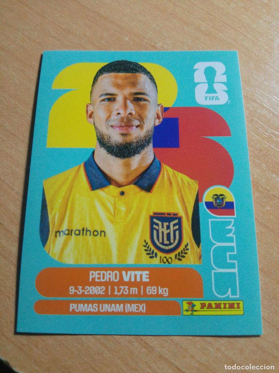 Cromos de f&uacute;tbol: ECU 12 VITE ECUADOR MUNDIAL FIFA WORLD CUP 2026 26 PANINI STICKERS NUEVO