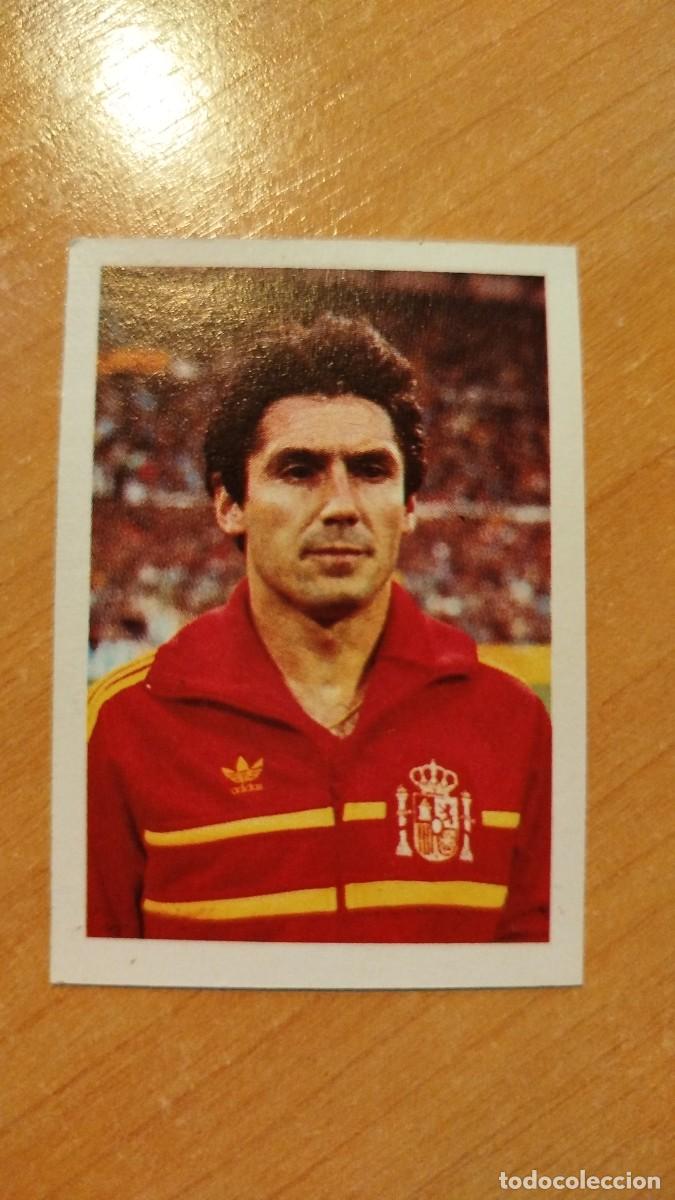Cromos de f&uacute;tbol: EUROCOPA 84 - ESPA&Ntilde;A- SANTILLANA