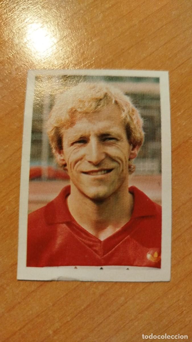 Cromos de f&uacute;tbol: EUROCOPA 84 - BELGICA - MICHAEL DEWOLF