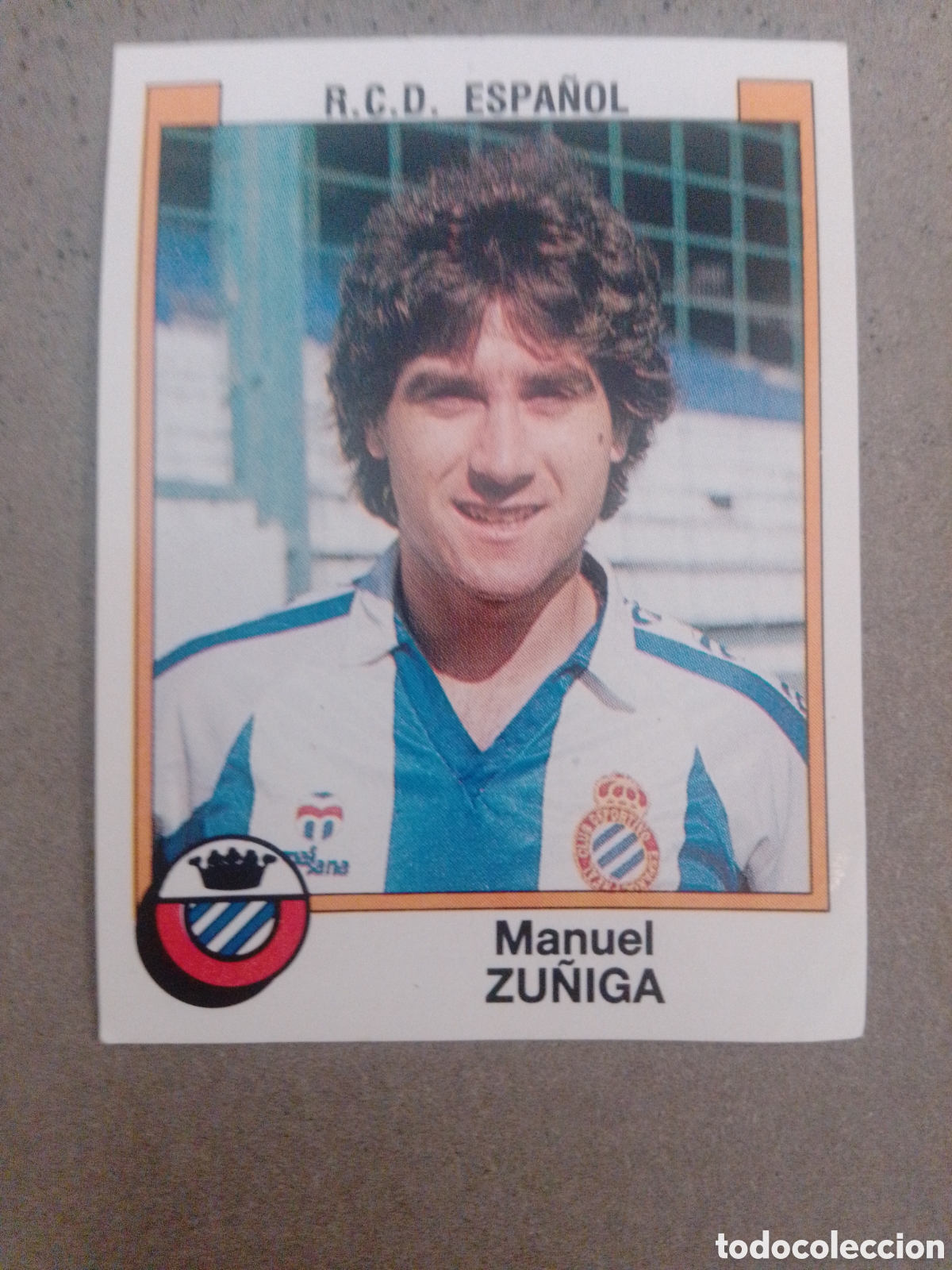 Cromos de f&uacute;tbol: ZU&Ntilde;IGA ESPA&Ntilde;OL FUTBOL 88 PANINI SIN PEGAR