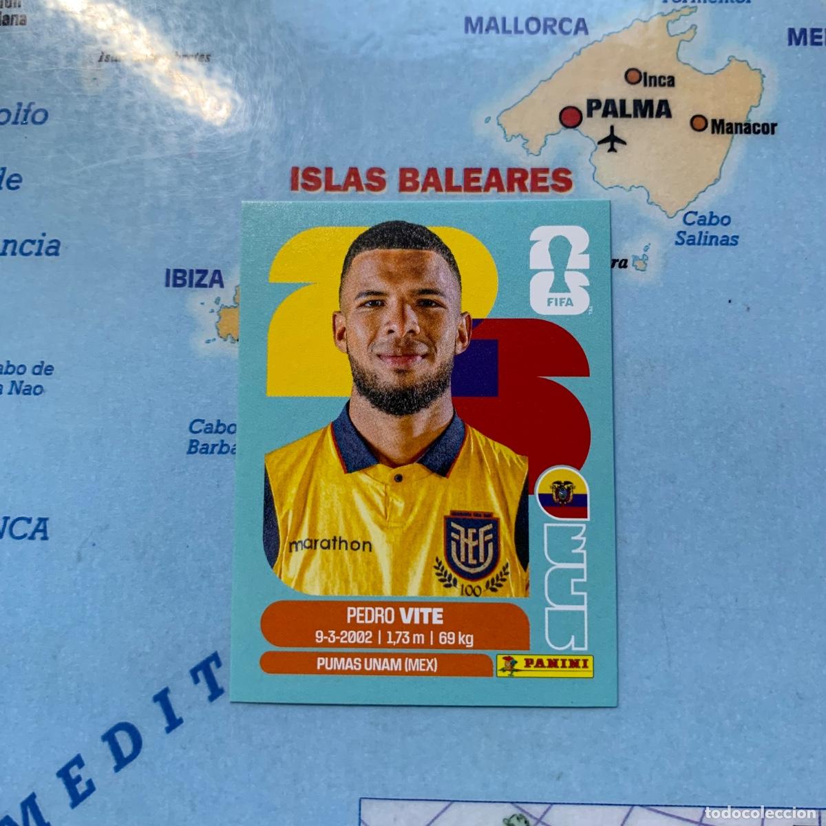 Cromos de f&uacute;tbol: Ecuador n&uacute;mero 12 cromo panini Mundial Fifa World Cup 2026