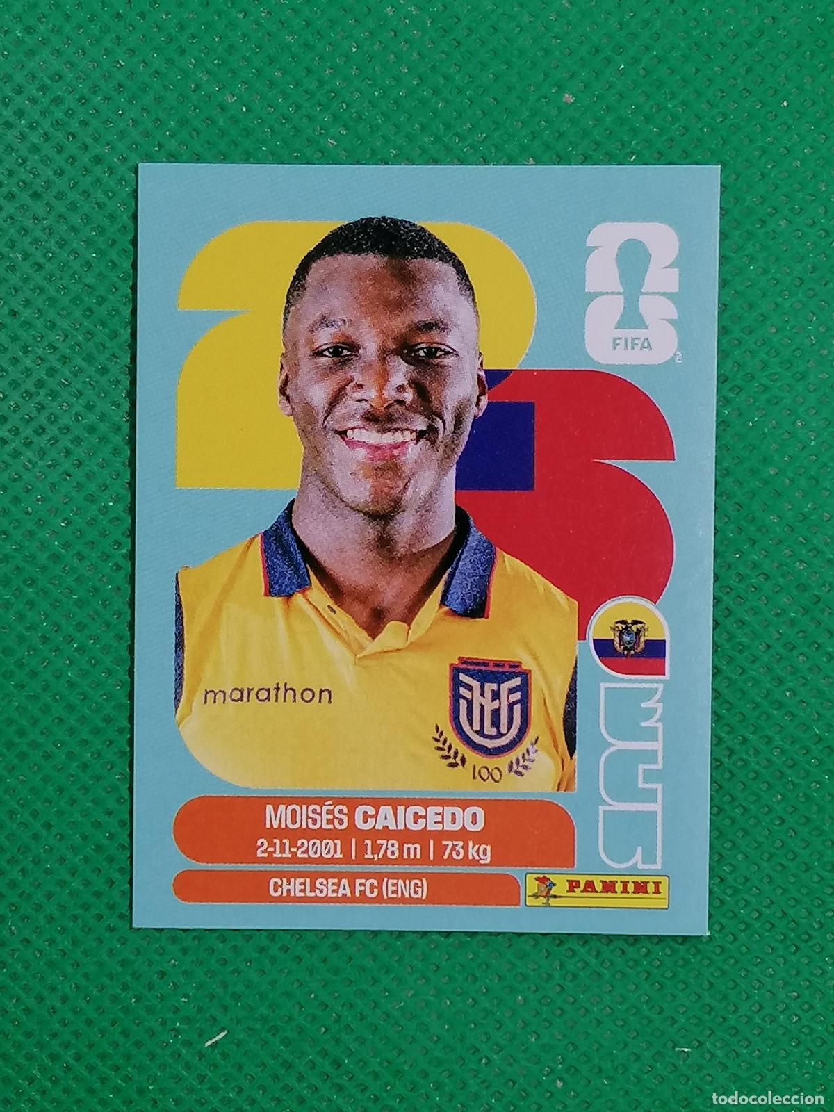 Football Stickers: ECU 9 ECU9 MOISES CAICEDO ECUADOR ⚽ PANINI FIFA MUNDIAL WORLD CUP 26 2026 STICKER ⚽