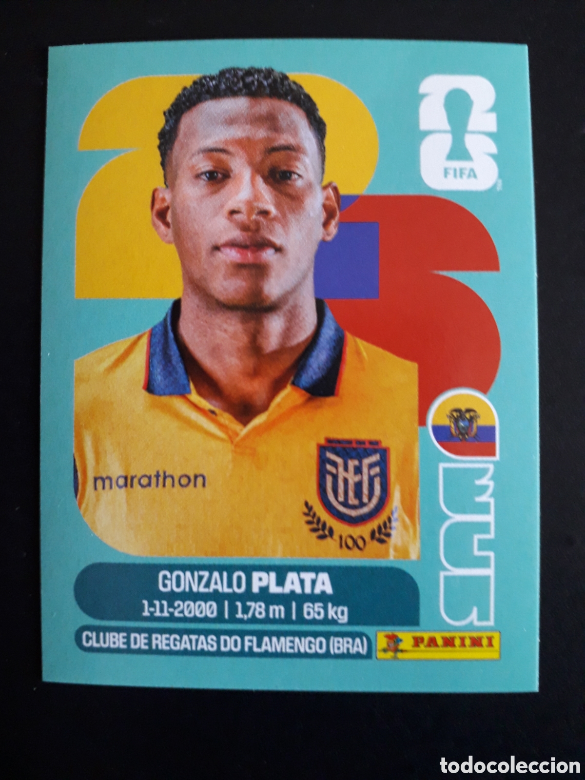 Cromos de f&uacute;tbol: PLATA ECUADOR ECU 16 MUNDIAL F&Uacute;TBOL 2026 FIFA WORLD CUP PANINI SIN PEGAR PEDIDO M&Iacute;NIMO 3&euro;