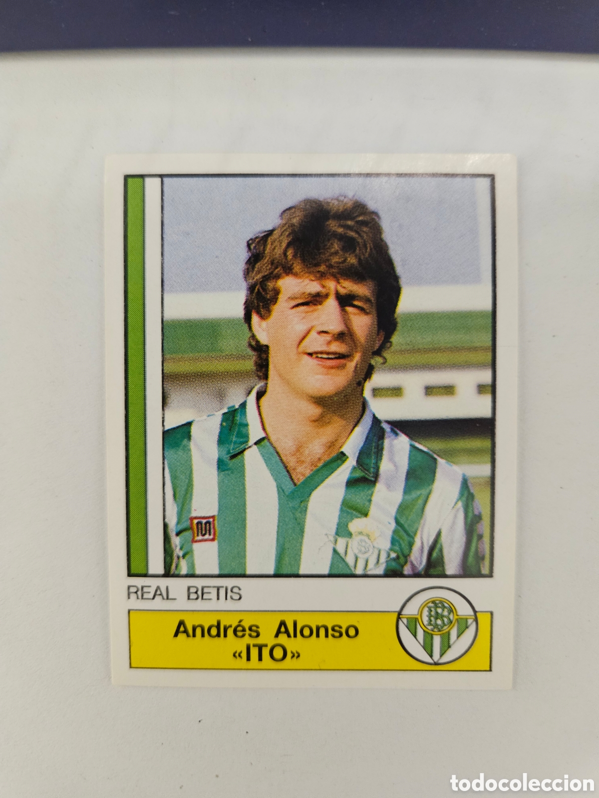 Cromos de f&uacute;tbol: CROMO DE F&Uacute;TBOL. ANDR&Eacute;S ALONSO ITO 73. F&Uacute;TBOL 87. 1986 1987. PANINI.