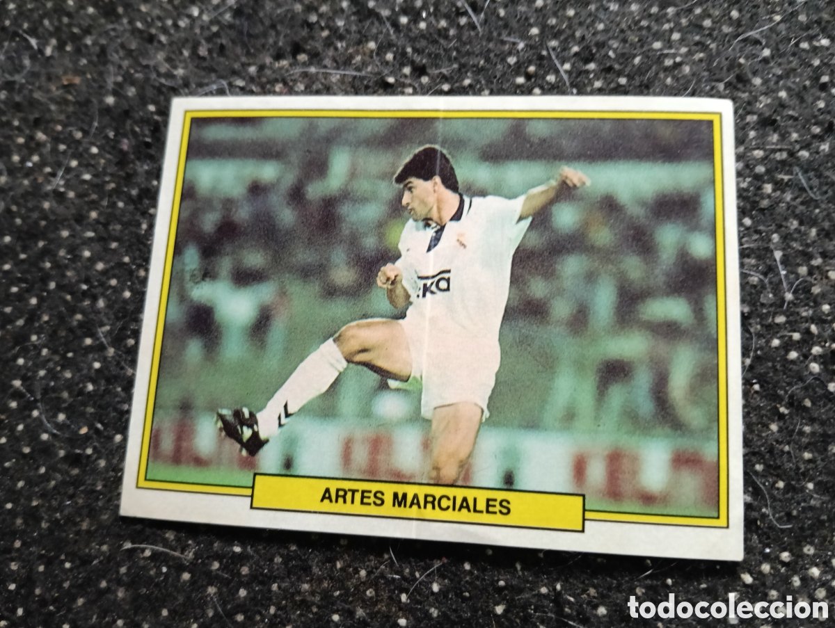 Cromos de f&uacute;tbol: 30 MICHEL LO MAS DIVERTIDO DEL FUTBOL 1993 BONY TIGRETON