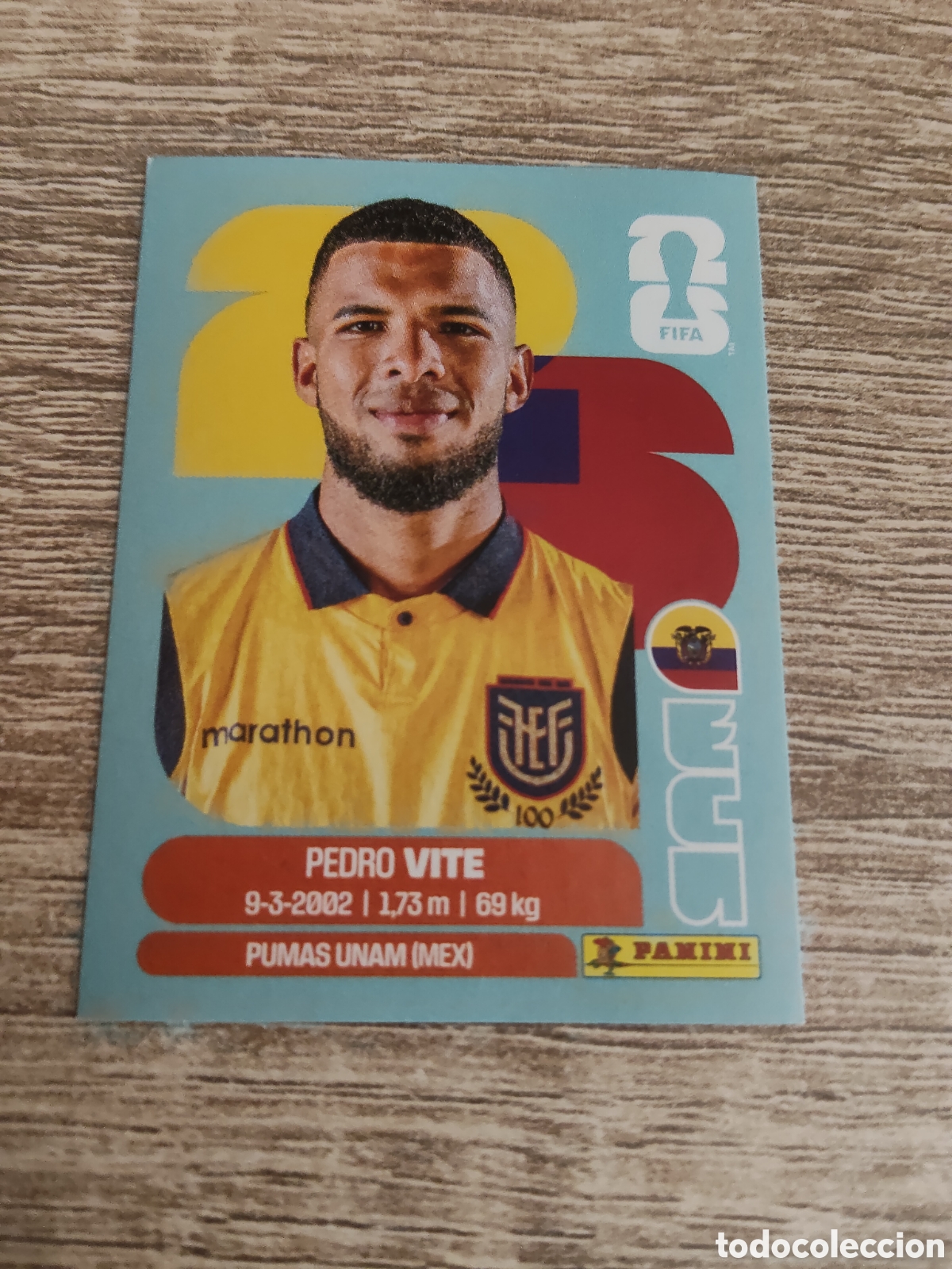 Cromos de f&uacute;tbol: Panini mundial 2026 ECU 12 Pedro Vite Ecuador