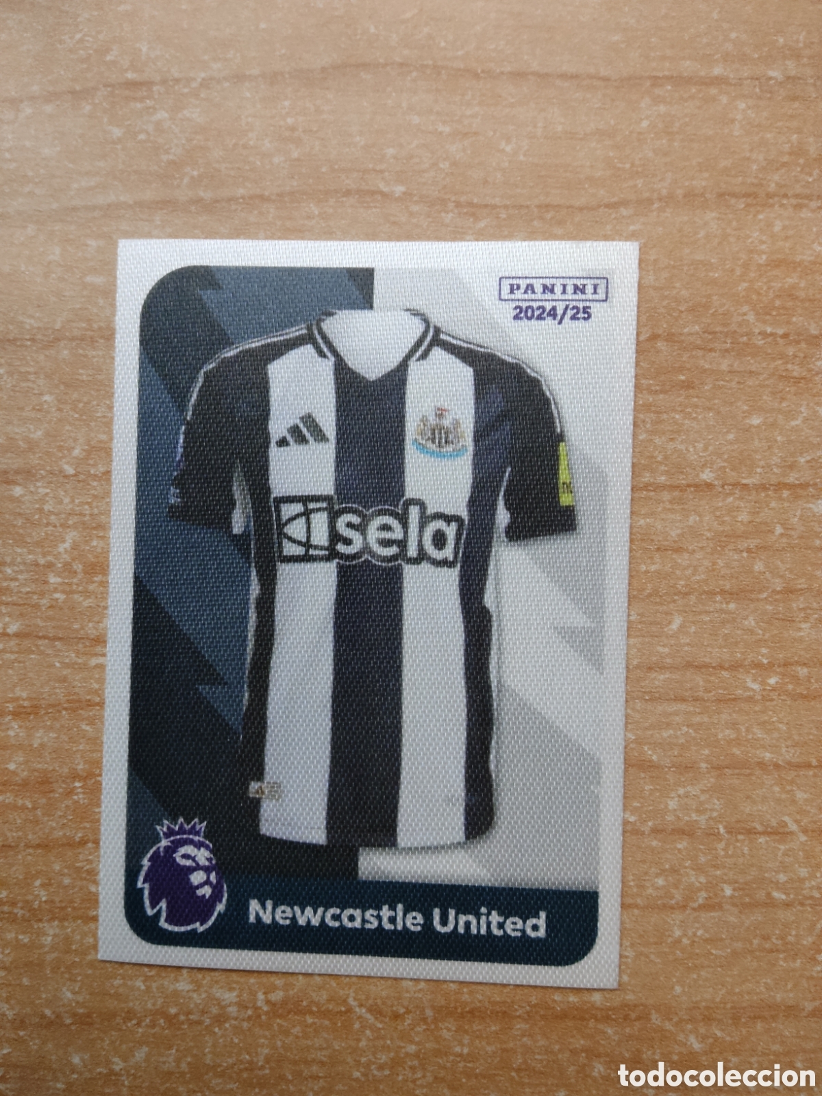 Cartes &agrave; collectionner de Football: 17 EQUIPACI&Oacute;N NEWCASTLE PREMIER LEAGUE 2024 2025