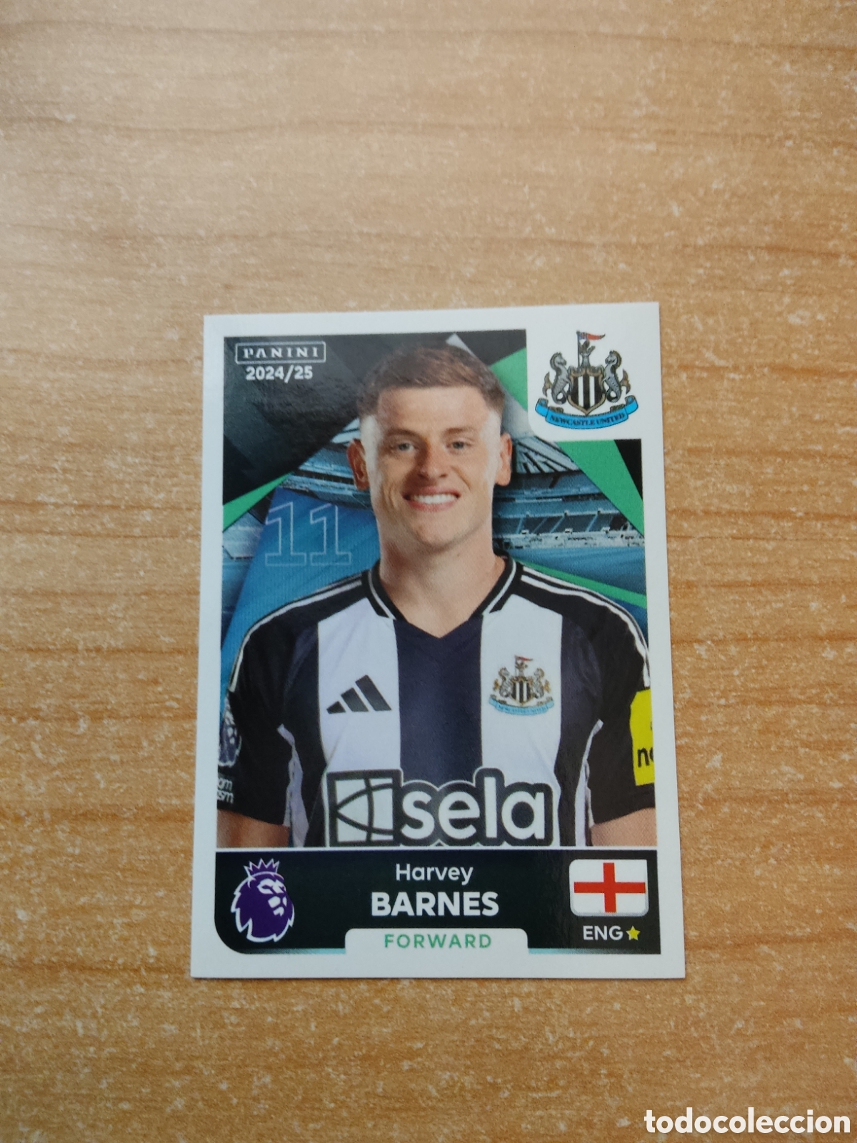 Cartes &agrave; collectionner de Football: 484 HARVEY BARNES NEWCASTLE PREMIER LEAGUE 2024 2025