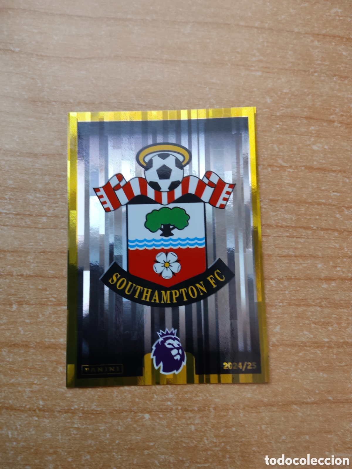 Cromos de f&uacute;tbol: 521 ESCUDO SOUTHAMPTON PREMIER LEAGUE 2024 2025