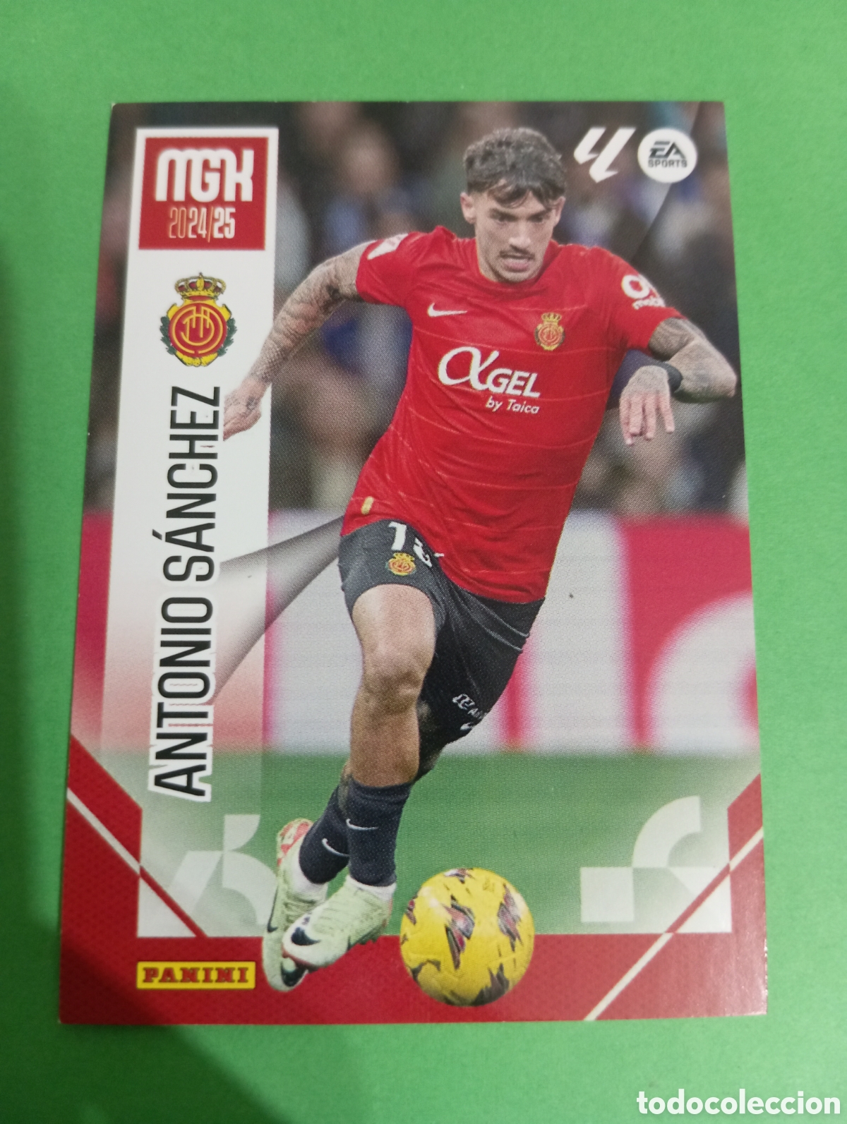 Cromos de f&uacute;tbol: Antonio S&aacute;nchez Mallorca n&deg;246 / PANINI MEGACRACKS 2024/2025