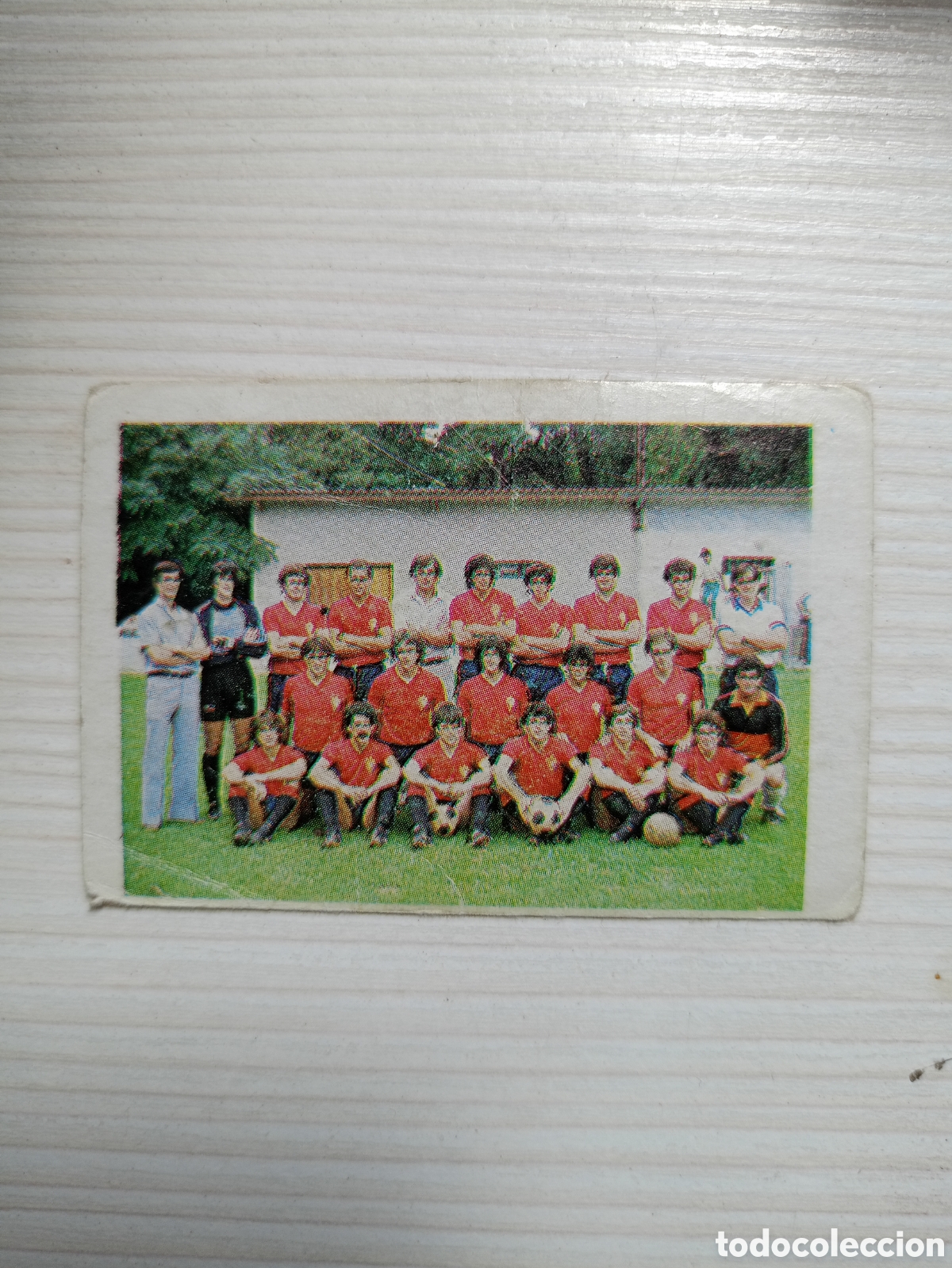 Cromos de f&uacute;tbol: PLANTILLA OSASUNA CANO 1983 1984 CROMO FUTBOL 83 84 LIGA