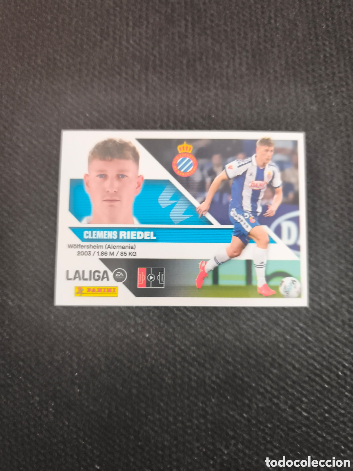 Cromos de f&uacute;tbol: CROMO N&Uacute;MERO 7 RIEDEL ESPANYOL. LIGA ESTE 26/27. PANINI.