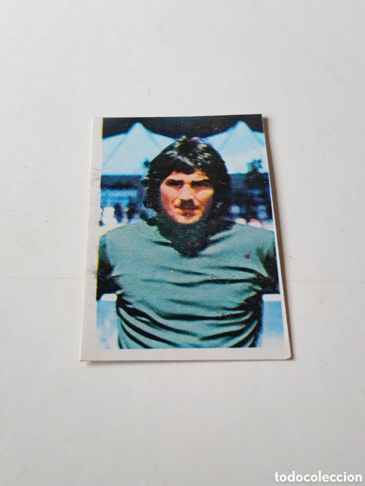 Cromos de f&uacute;tbol: Cromo Campeonato Nacional de Futbol 1976-1977 , Fenoy