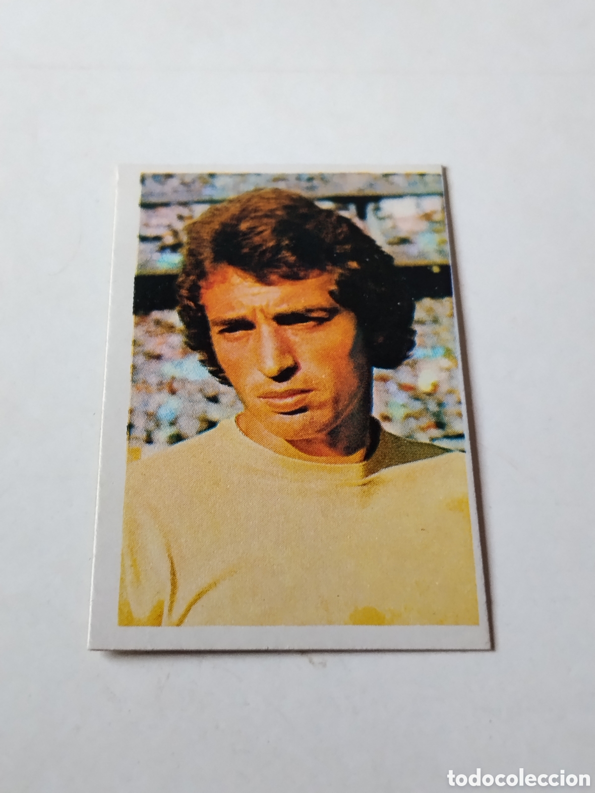 Cromos de f&uacute;tbol: Cromo Campeonato Nacional de Futbol 1976-1977 , Wolff