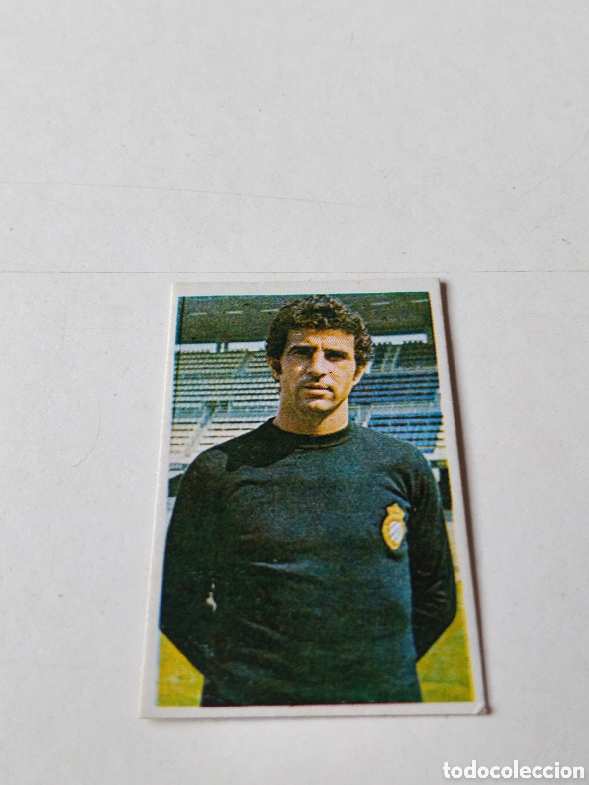 Cromos de f&uacute;tbol: Cromo Campeonato Nacional de Futbol 1976-1977, Borja