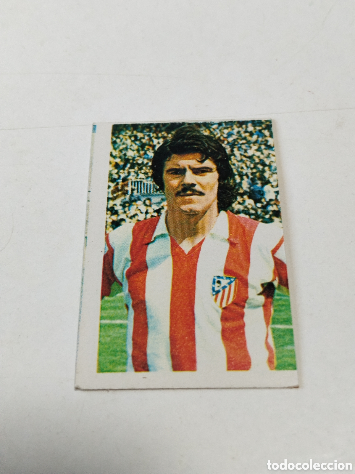 Cromos de f&uacute;tbol: Cromo Campeonato Nacional de Futbol 1976-1977, Leal