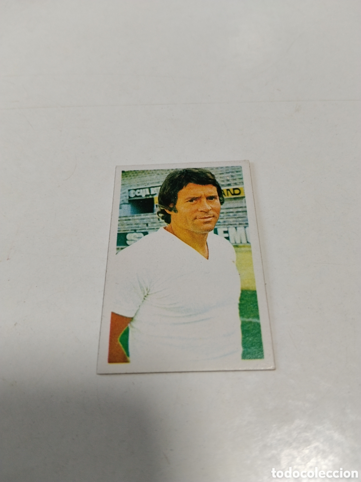 Cromos de f&uacute;tbol: Cromo Campeonato Nacional de Futbol 1976-1977, Lora