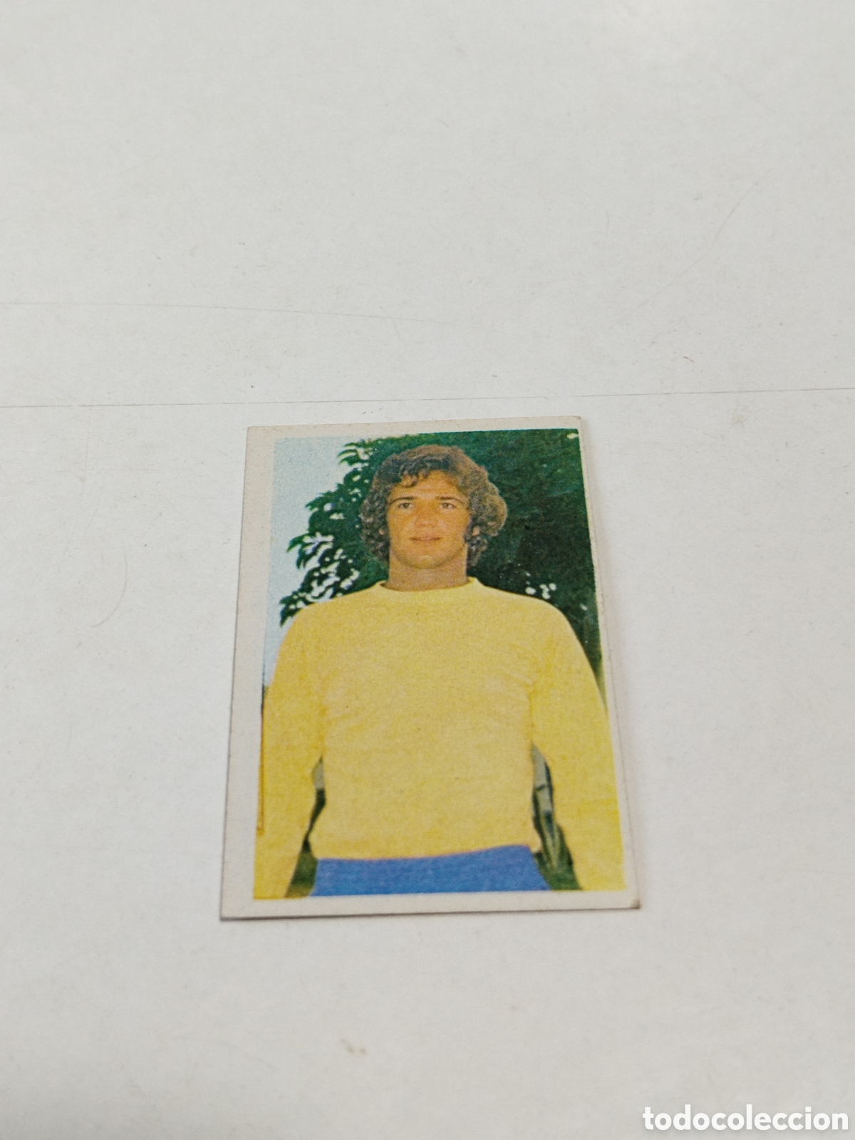Cromos de f&uacute;tbol: Cromo Campeonato Nacional de Futbol 1976-1977, Miguel &Aacute;ngel