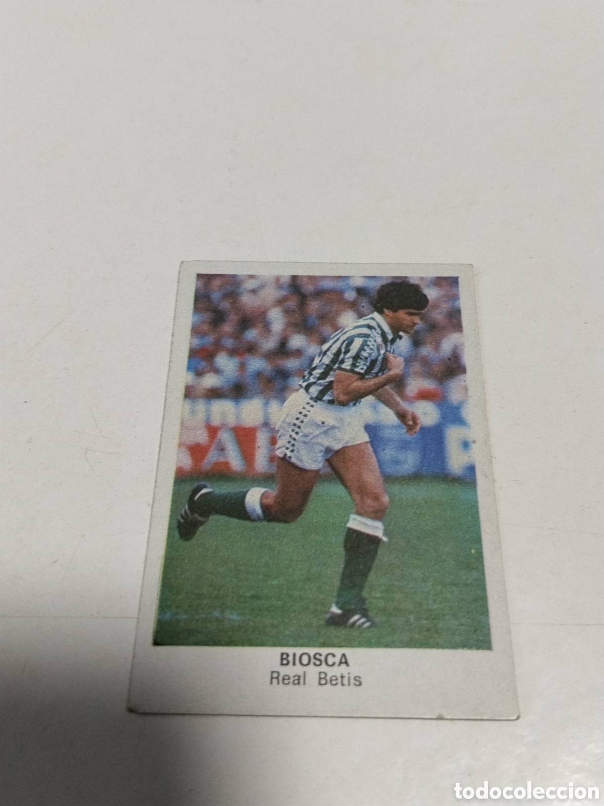 Cromos de f&uacute;tbol: Cromo Futbol 84 Gropan 1983 , Biosca