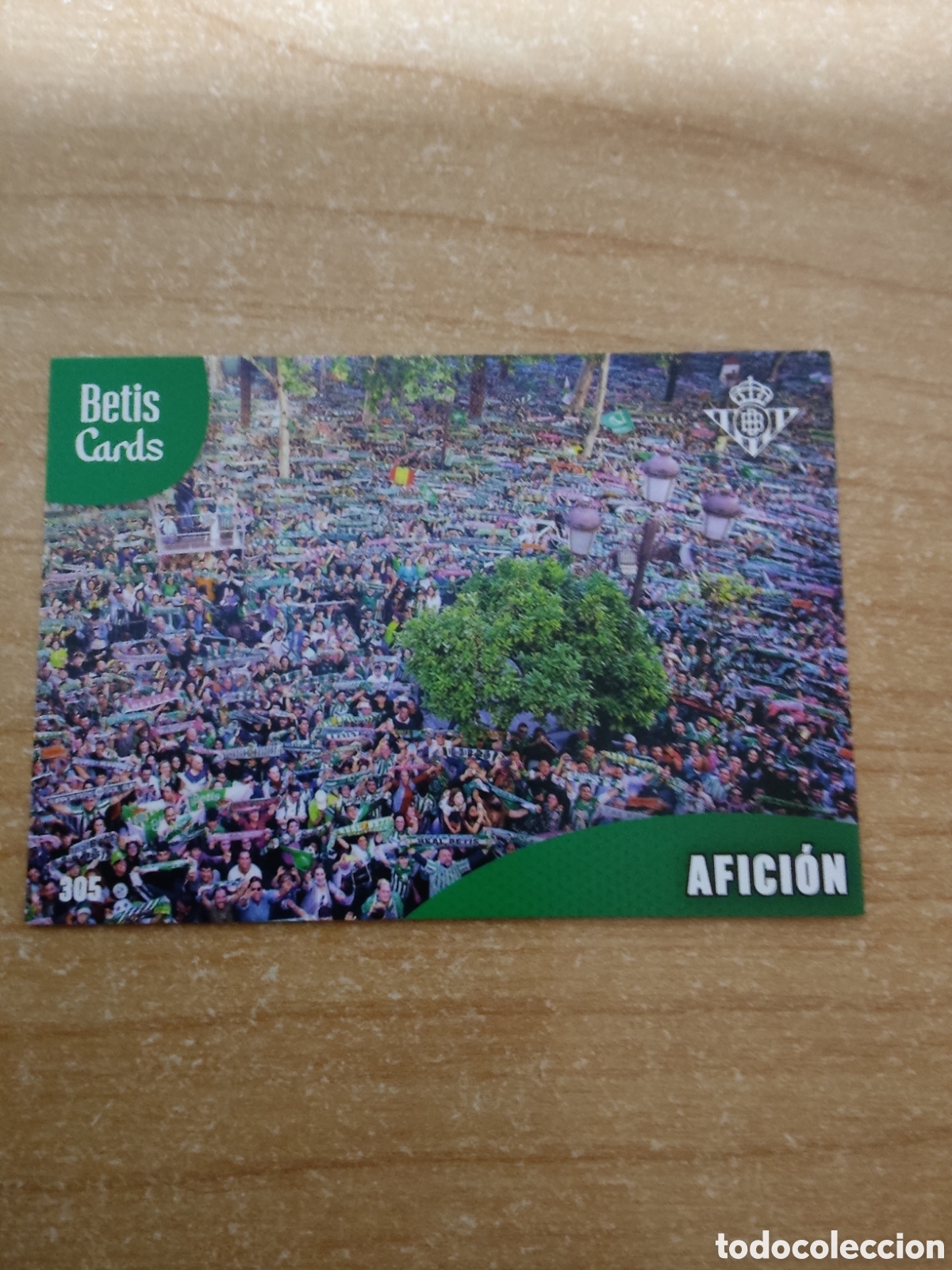 Cromos de f&uacute;tbol: 305 AFICI&Oacute;N REAL BETIS HOLY CARDS 2024 2025