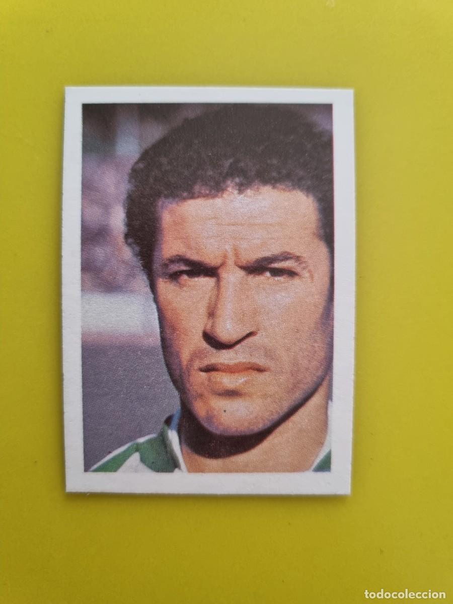Cromos de f&uacute;tbol: CROMO FTUBOL ESPA&Ntilde;A 82 FHER LARBES N&ordm;31 ARGELIA AR826