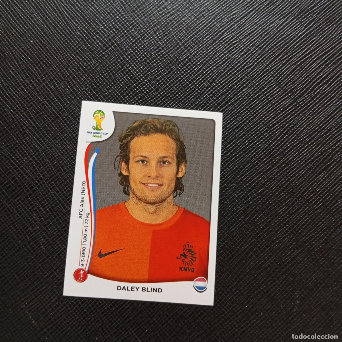 Cromos de f&uacute;tbol: 134 DELEY BLIND INDI HOLANDA PANINI MUNDIAL BRASIL 2014 CROMO FUTBOL 14 - SIN PEGAR - CJ1