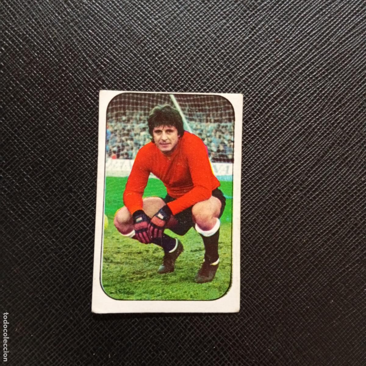 Cromos de f&uacute;tbol: D ALESSANDRO SALAMANCA ESTE 1976 1977 CROMO FUTBOL 76 77 LIGA - DESPEGADO - A193 PG235