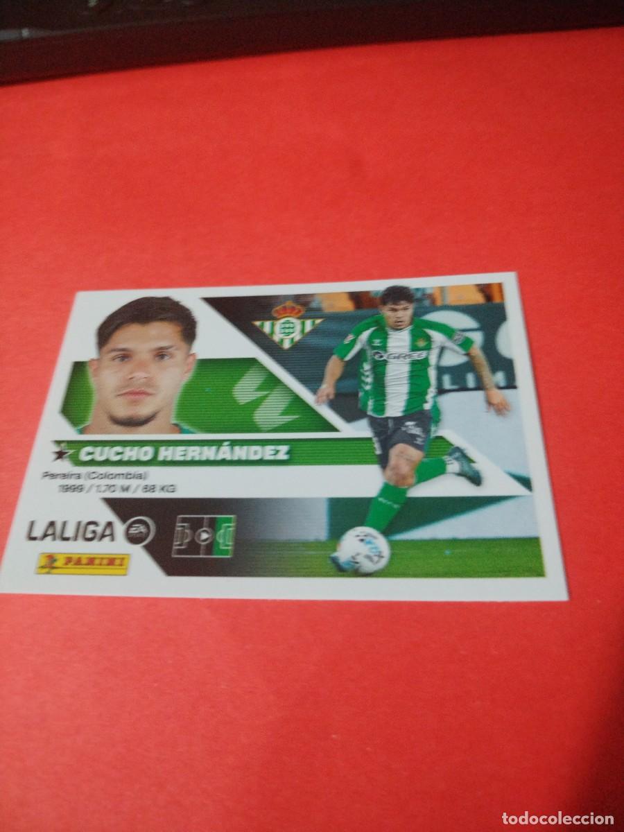 Cromos de f&uacute;tbol: ESTE 2026 2027 REAL BETIS N 19 CUCHO