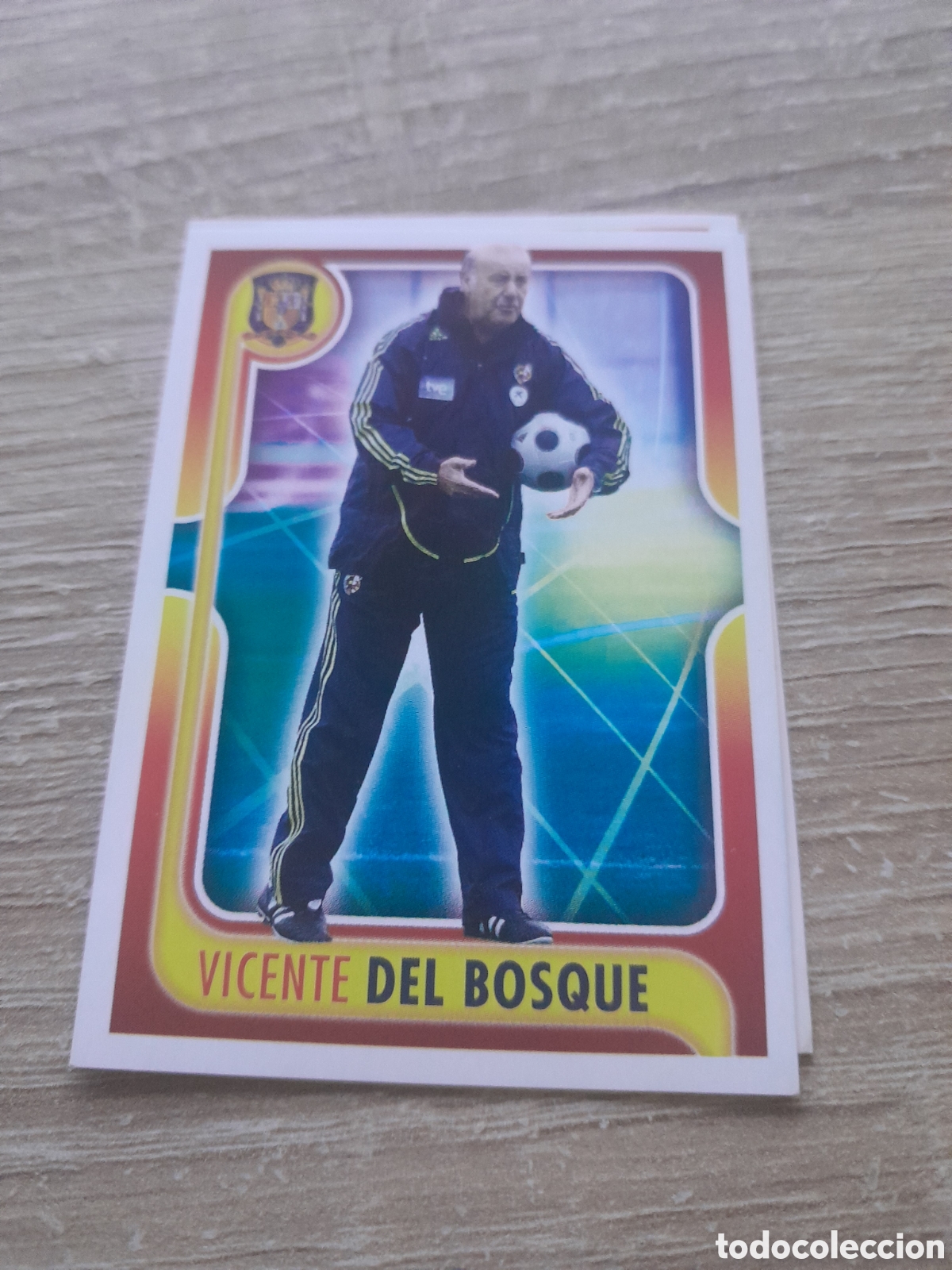 Cromos de f&uacute;tbol: A POR ELLOS !! PANINI 2009 ESPA&Ntilde;A N&ordm; 12